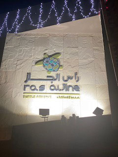 Turtle Reserve 1